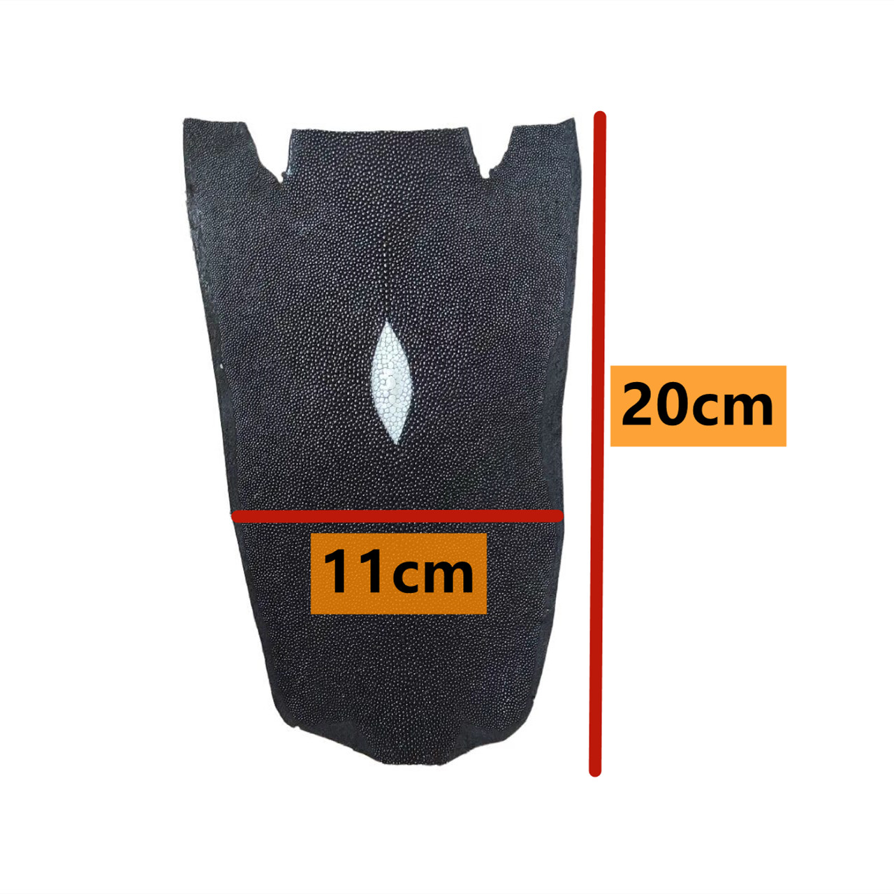 Black Non- Polished Stingray f - đánh giá và giá Luxury Bags And Shoes