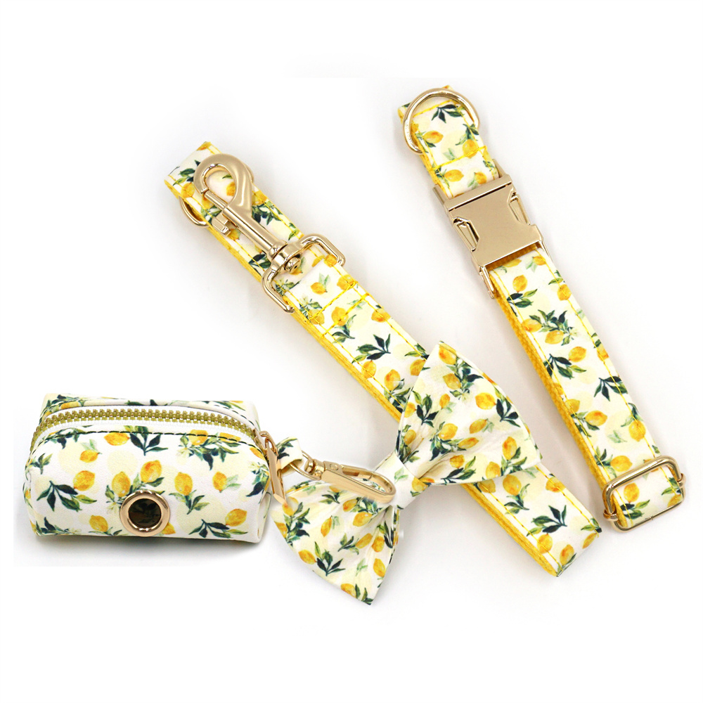 Personalized Pet Collar for Ca - đánh giá và giá Luxury Bags Medium Size