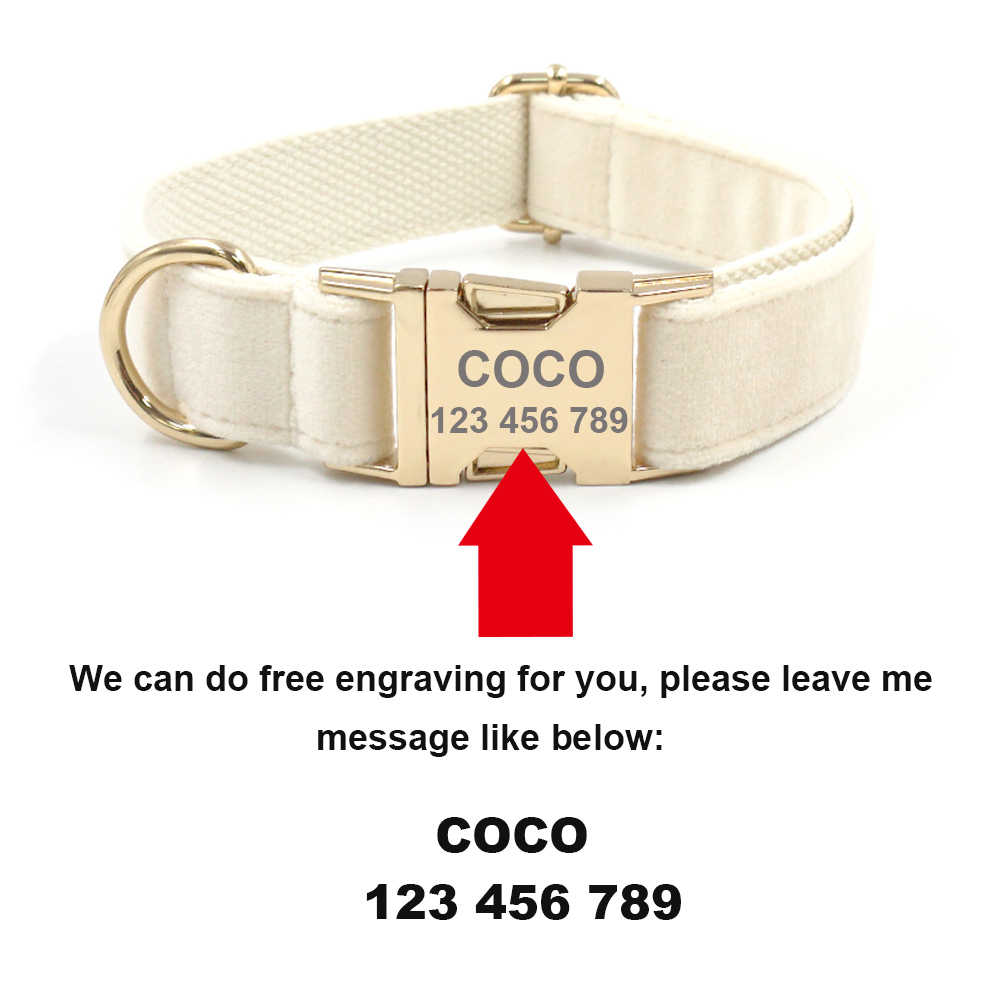 Personalized Pet Collar for Ca - đánh giá và giá Luxury Bags Medium Size